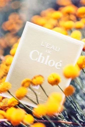 L'Eau de Chloe perfume box nestled amongst vibrant out of focus yellow flowers captured by Maeva Delacroix in Paris