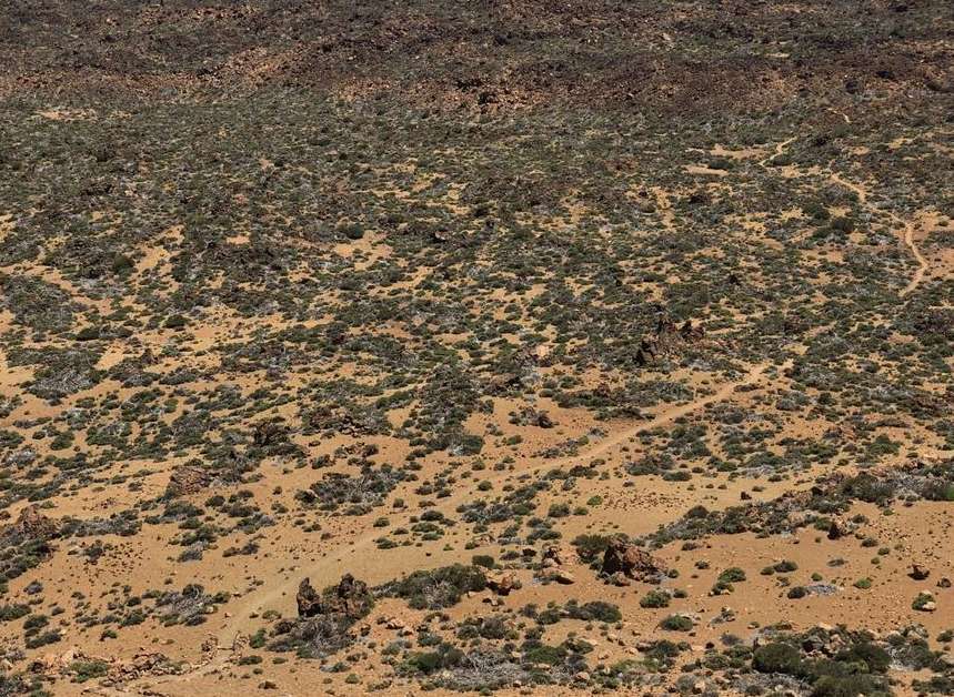 Scenic view of desert landscape with shrubs and winding trails in warm, natural light and brown hues. Nature background.