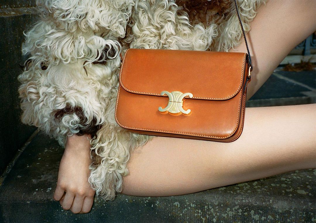 Tan leather Celine bag with gold hardware sitting on a woman's leg and next to a fluffy white dog outside on stone steps.