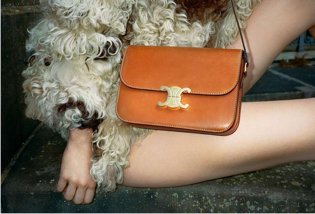 Brown leather Celine handbag on a woman's lap next to a curly haired dog, luxurious fashion photography, stylish, modern design.