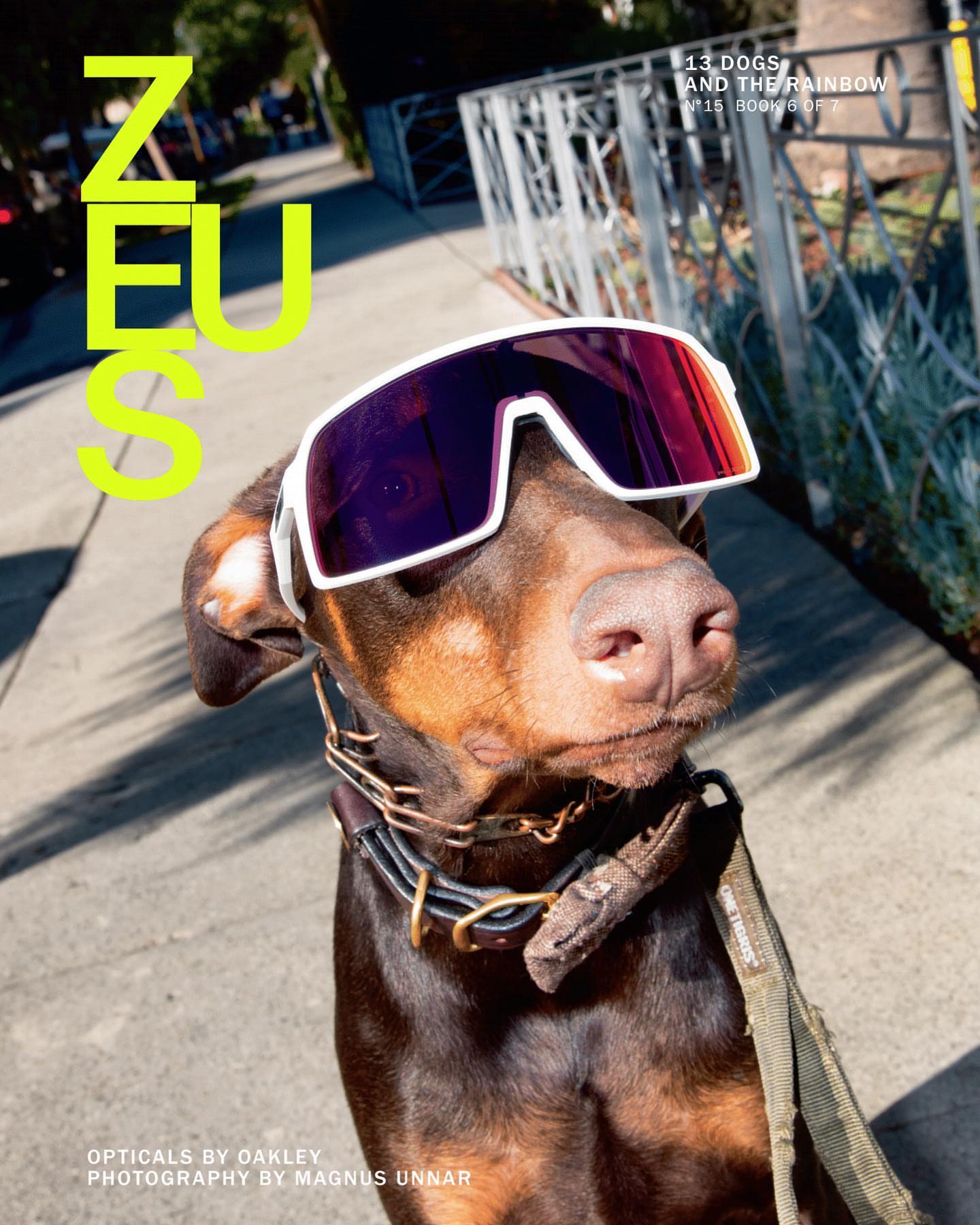 A Doberman dog with sunglasses poses outdoors on a sunny day, styled like a magazine cover with 'Zeus' text, Oakley logo visible.