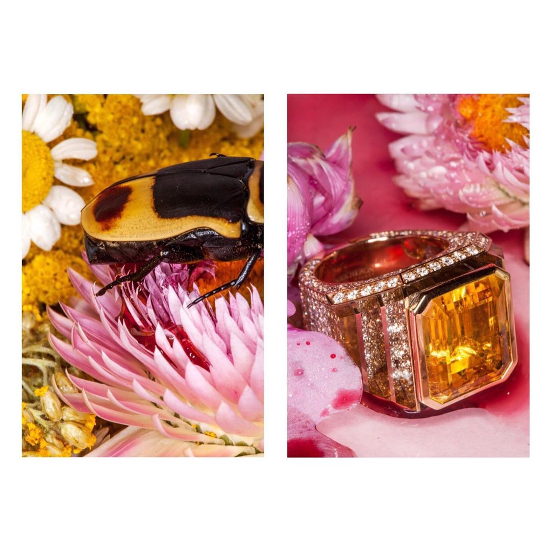 Macro photograph featuring a beetle on a pink flower and a diamond and gold ring on a pink flower background.