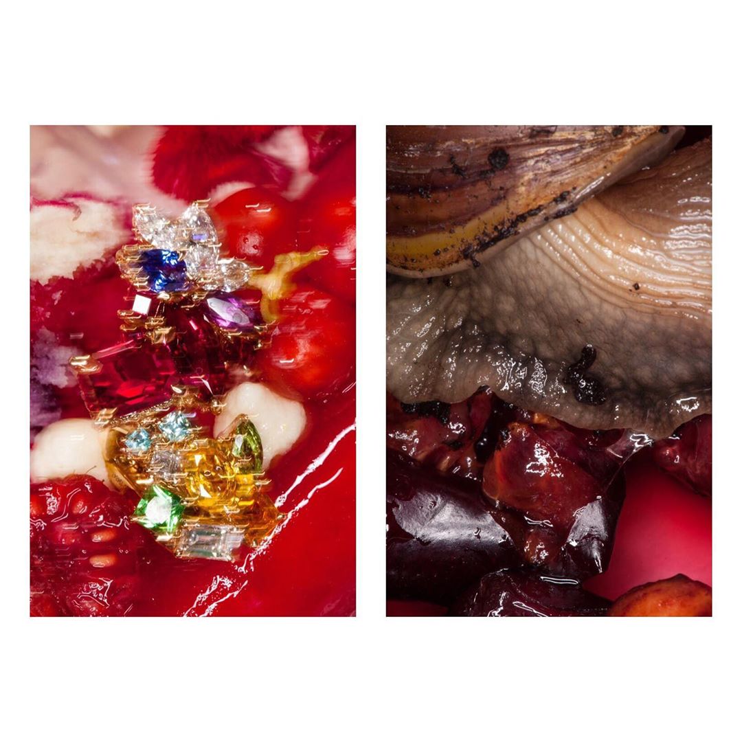 Macro studio shot with a colorful gemstone-encrusted jewelry piece on a red and white surface, contrasted with a snail on red fruit.
