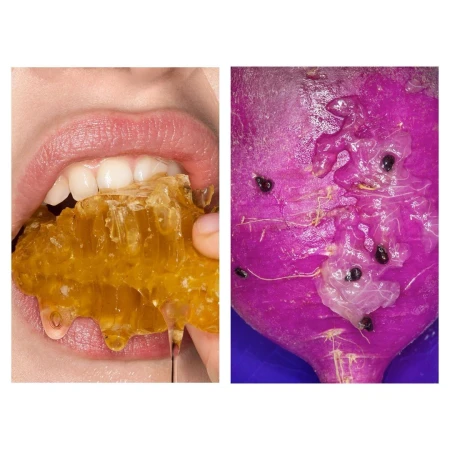 Macro collage-style image of a woman eating a dripping honeycomb alongside a close-up of a purple fruit or vegetable.