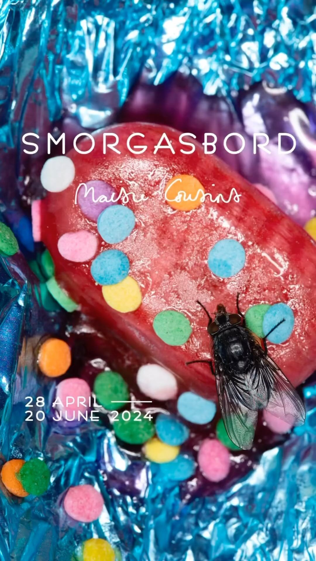 Close-up still life of a fly on a colorful candy covered sausage with a blue tinfoil background and visible text.