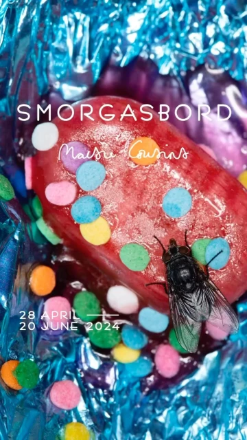 Close-up still life of a fly on a colorful candy covered sausage with a blue tinfoil background and visible text.