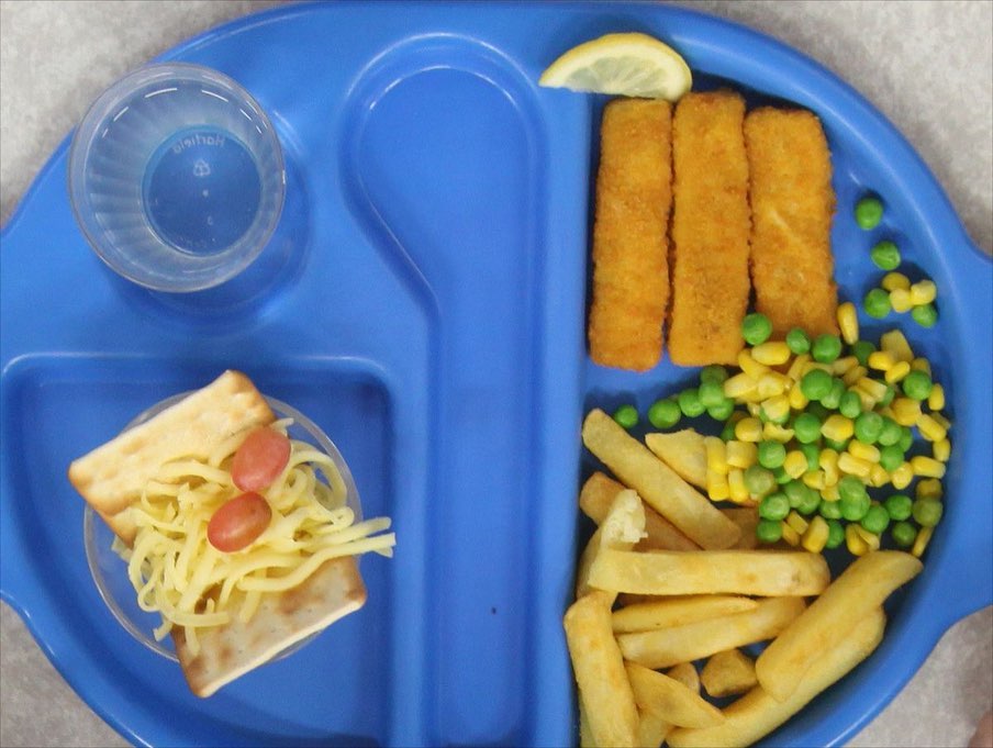Blue tray of school lunch with fish sticks, french fries, peas, corn, and crackers topped with cheese and tomato slices.