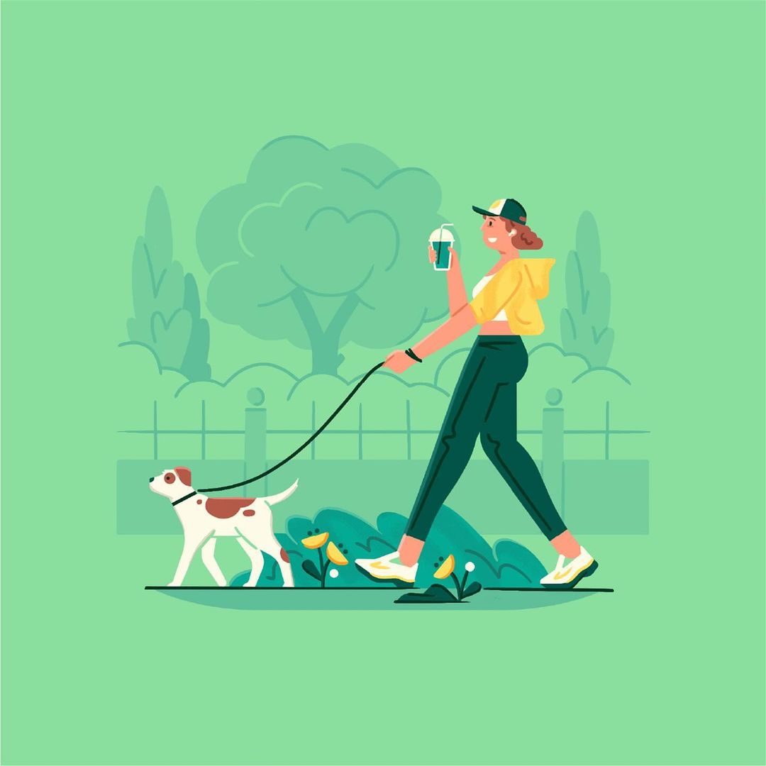 Illustration of a woman walking a dog in a park, holding a beverage. The art style is colorful and vector-based, in bright daylight.