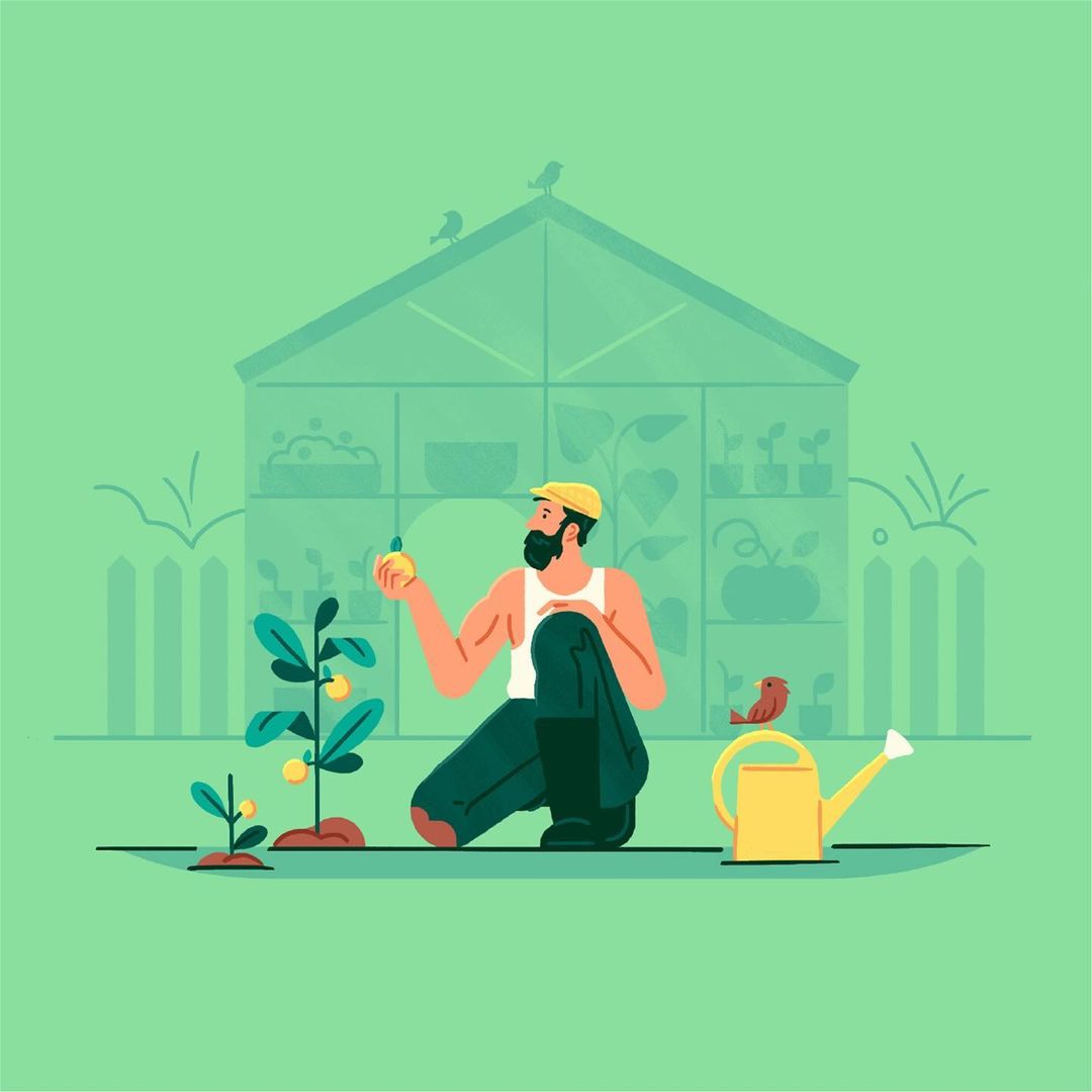 Illustration of a male gardener tending a young plant with fruit, set against a greenhouse backdrop and pastel green background.