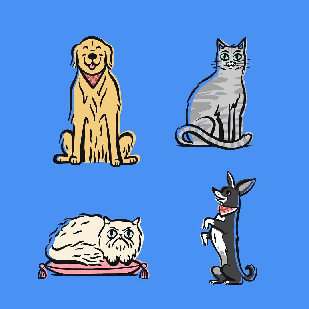Illustration of cartoon golden retriever, grey tabby cat, persian cat on a pillow, and chihuahua on a blue background.