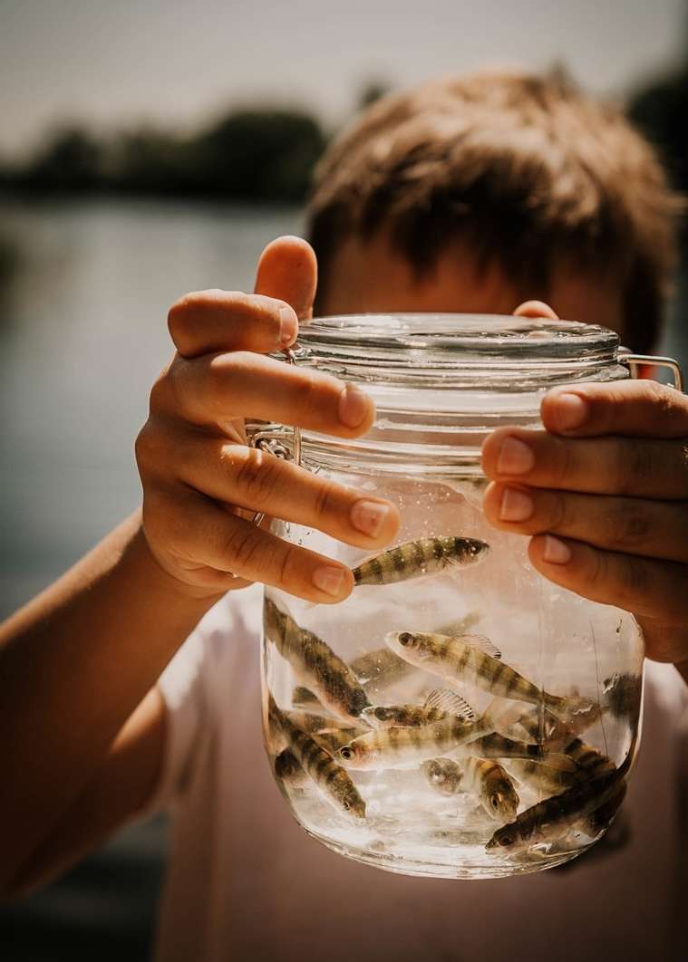 Child holds a jar of small fish outdoors on a sunny day, with blurry background of water and trees, creating a sense of childhood wonder.