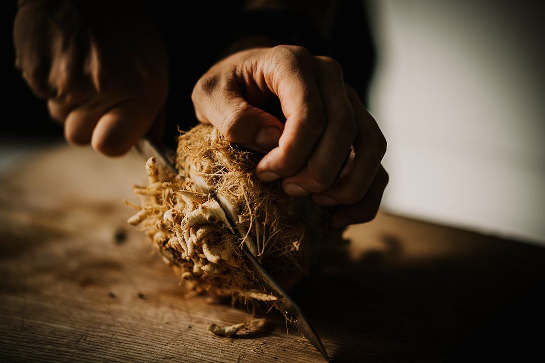 Close-up shot of a person using a knife to prepare a celeriac root on a wooden cutting board in a kitchen, with soft, natural lighting.