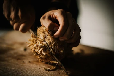 Close-up of hands using a sharp knife to slice through a rough-skinned root vegetable on a rustic wooden board.