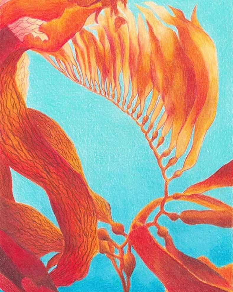 Artistic rendering of orange and red seaweed floating in blue water, showcasing the textures and shapes of marine flora in an abstract form.