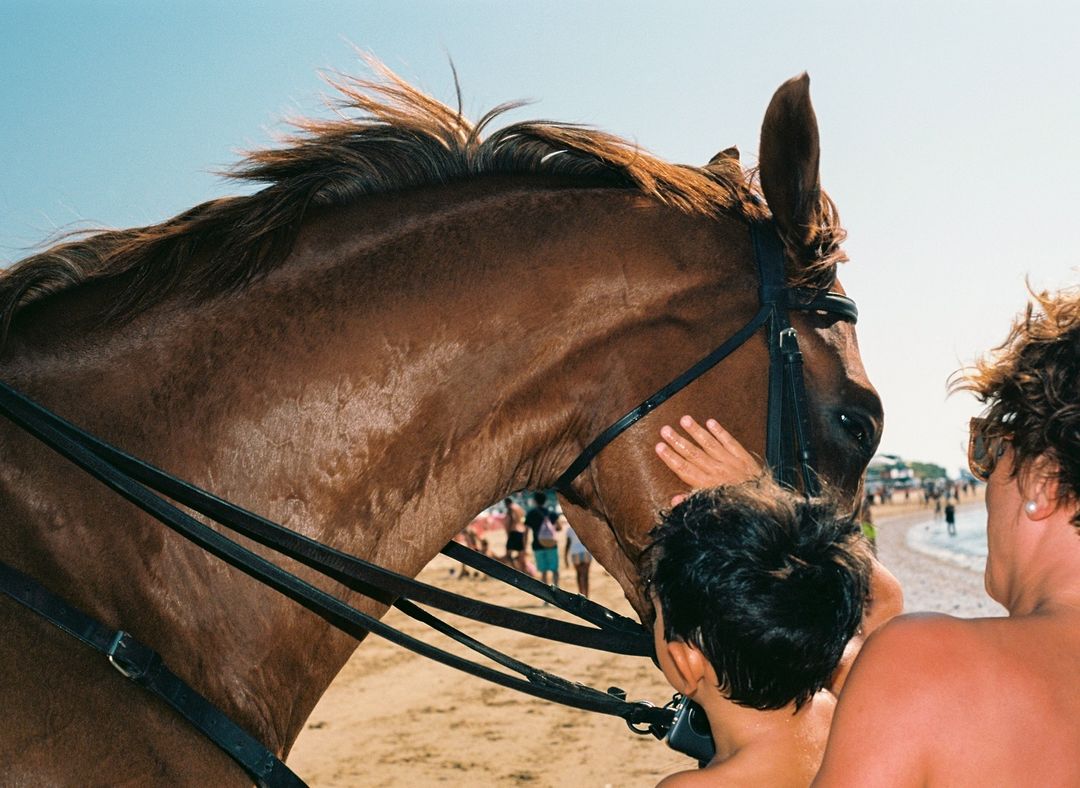 Close-up of a brown horse being petted by a child on a beach, with an adult standing nearby and other people walking along the shore.