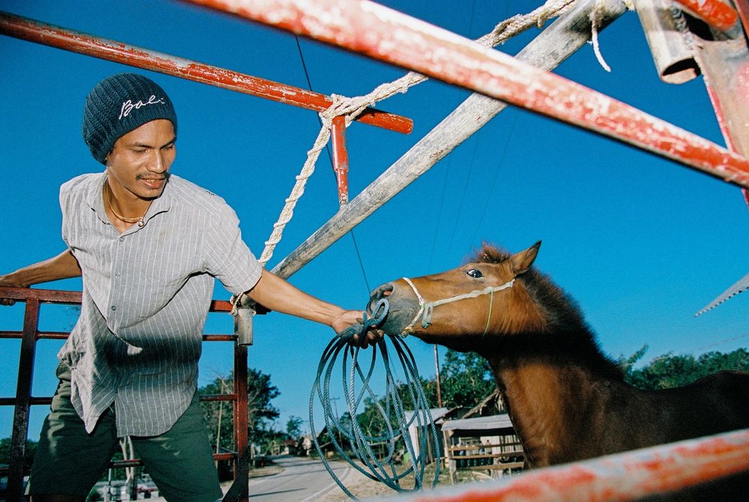 Man in a black beanie and gray shirt leads a brown horse by a blue rope in a metal frame truck under a clear blue sky.