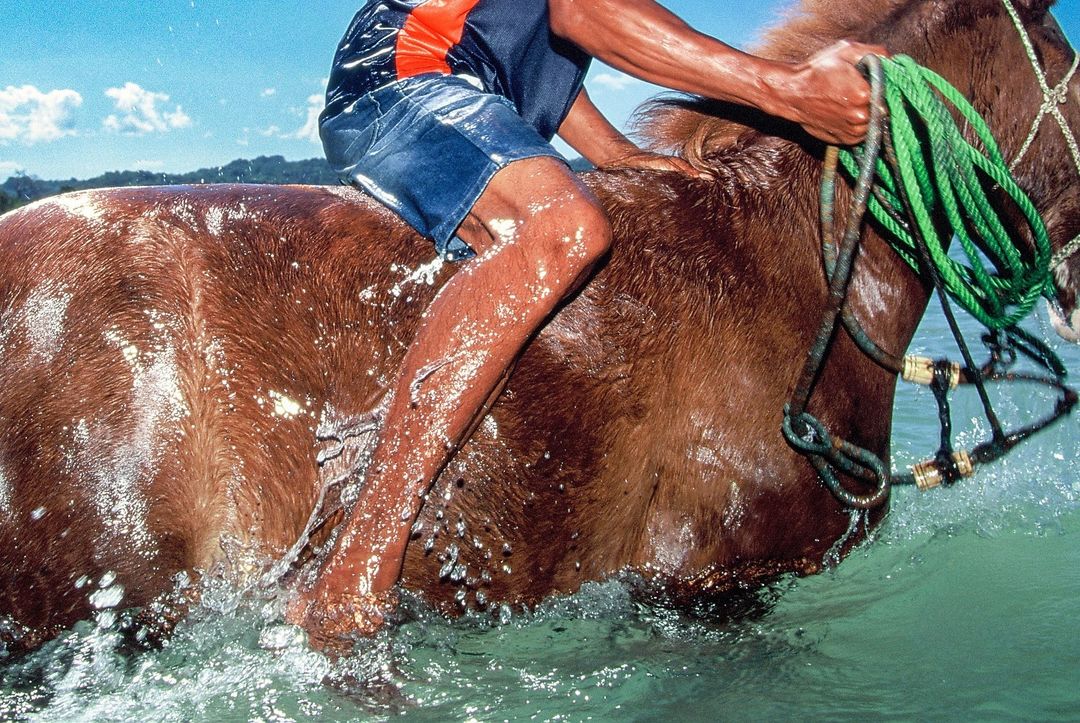 A man rides a brown horse through shallow turquoise water under a partly cloudy blue sky, holding onto a green rope, creating splashes.