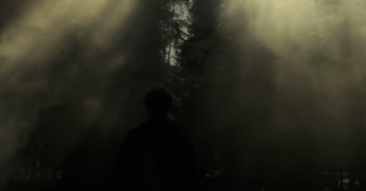 Silhouette of an adult amid a dense forest with sunlight piercing through heavy fog, creating a mysterious and dramatic outdoor scene.