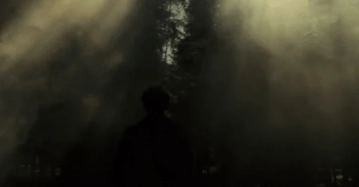 Silhouette of an adult amid a dense forest with sunlight piercing through heavy fog, creating a mysterious and dramatic outdoor scene.