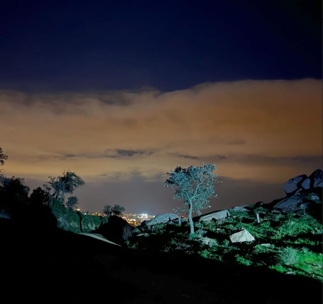 Night landscape featuring a hill with a tree silhouetted against an illuminated cityscape under a cloudy sky, creating a contrasting vista.