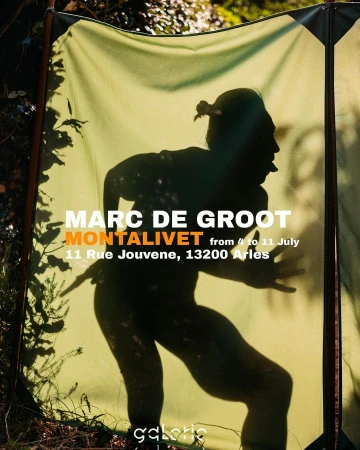 Silhouette of a person projected onto a stretched canvas outdoors, possibly an art installation in a wooded area, with overlaid text.
