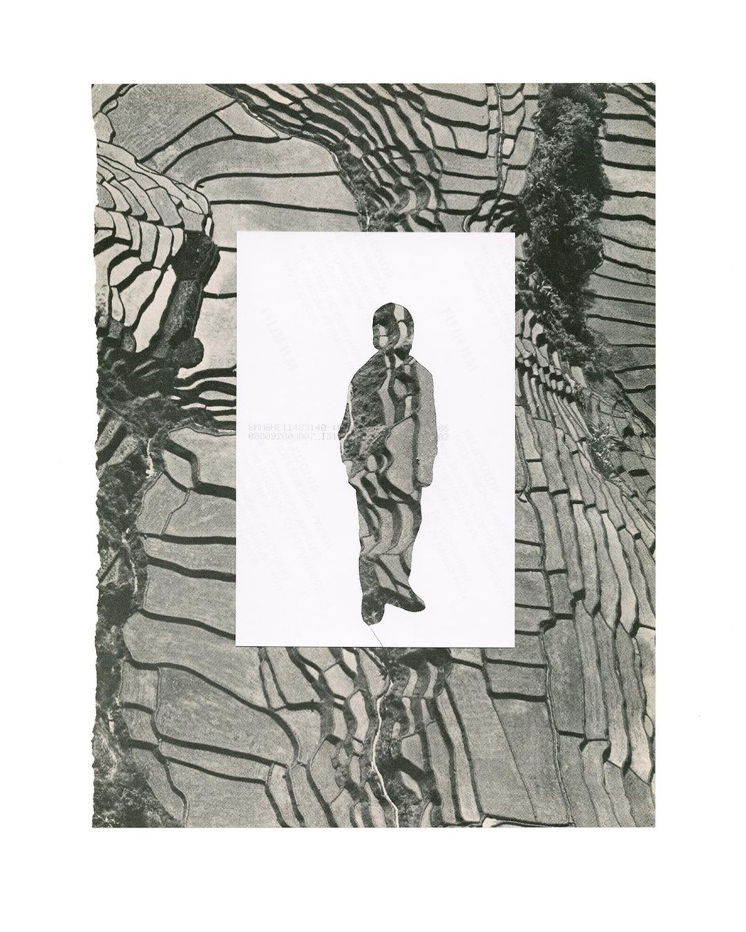 Monochromatic paper collage of a person figure in a suit standing against a rice paddy terrace landscape background.