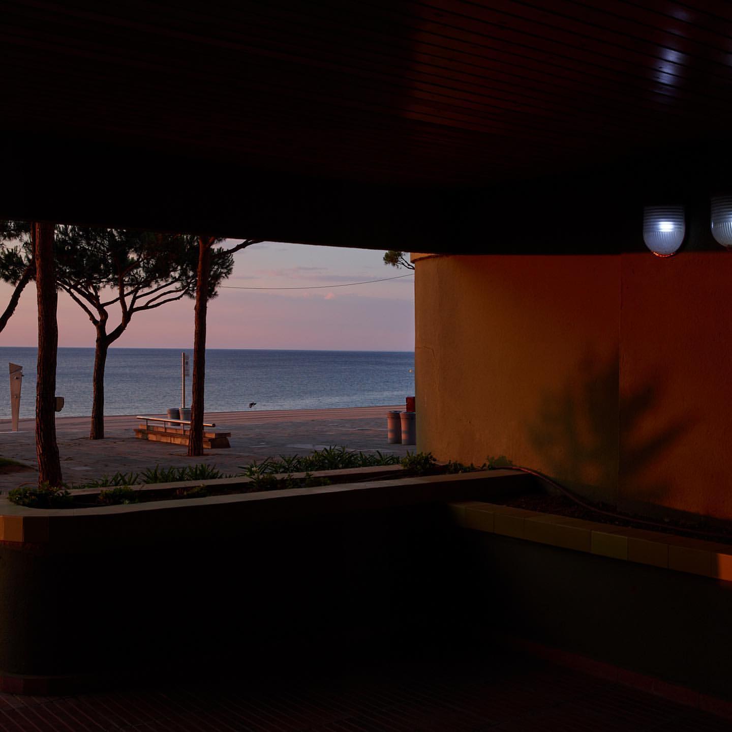 View from under a dark structure looking out to a beach with trees, benches, and the ocean under a pale sky at sunset.