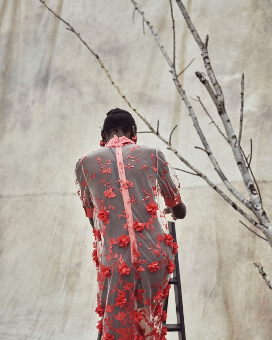 Back view of an adult female wearing a floral dress climbing a ladder in front of a textured off-white background with birch tree branches.
