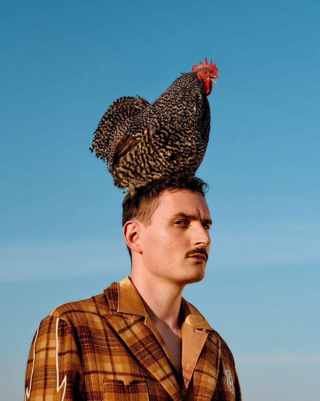 A man with a mustache wearing a brown plaid jacket stands outside with a black and white rooster perched on his head against a blue sky.