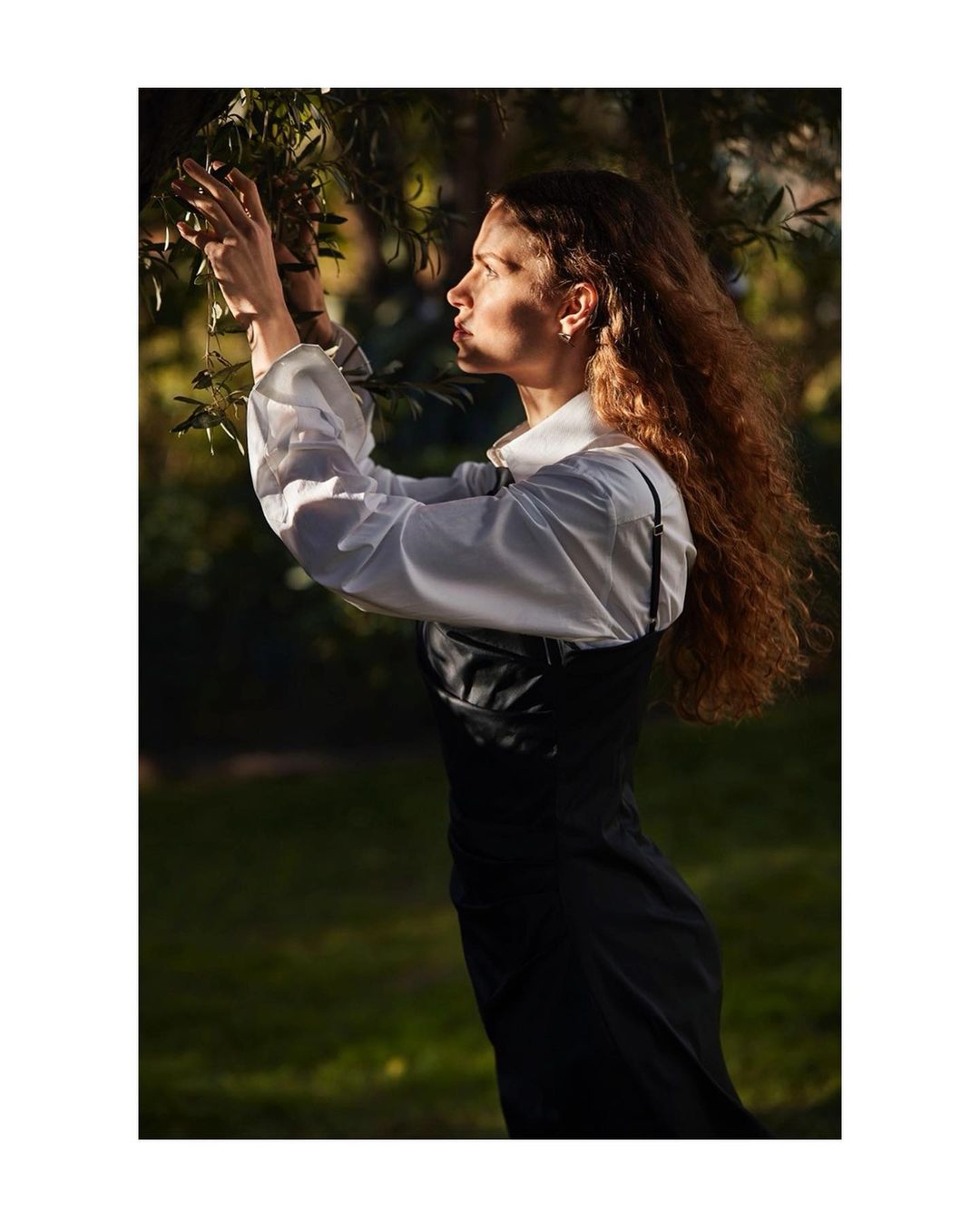 A young woman with long curly hair in a black dress and white blouse outdoors reaching for leaves with diffused sunlight in the background.