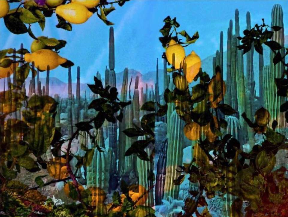 Image featuring a unique combination of lemons on branches in the foreground, juxtaposed against a backdrop of tall, dense cacti.