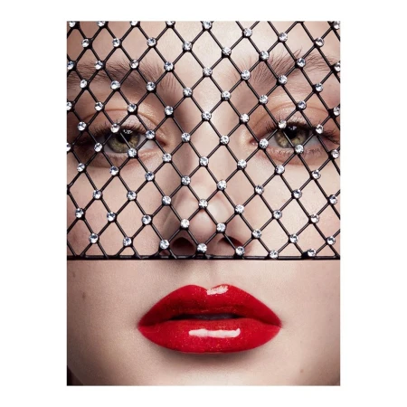 Close-up portrait of a fair-skinned adult female with glossy red lips, wearing a sparkling black mesh face covering, fashion, beauty.