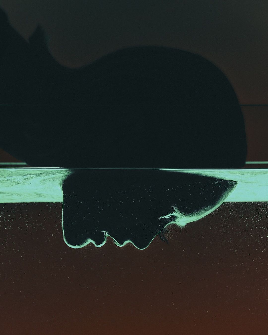 Abstract portrait of a silhouetted face reflecting in a pool of water, set against a gradient backdrop of brown and dark blue.