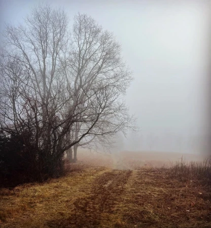Margaret Lampert