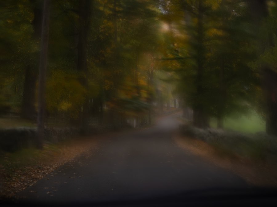 Blurred view of a winding asphalt road through a forest with dense green trees and autumnal foliage. Soft focus and long exposure.