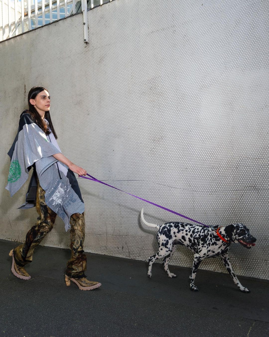 An adult female walks a Dalmatian dog on a leash along a sidewalk next to a textured wall in an urban setting during the day.