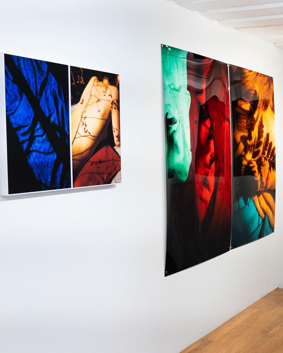 Abstract art photography featuring colorful botanical imagery and partial human figure in a gallery with white walls and wood floor.