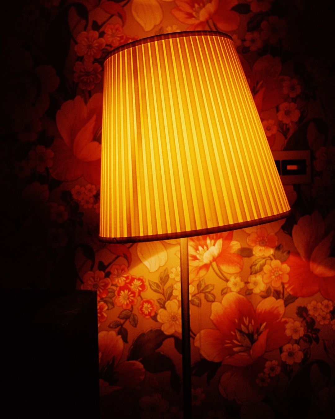 Illuminated floor lamp with a pleated shade casting a warm glow against a floral wallpaper backdrop, creating a cozy ambiance.