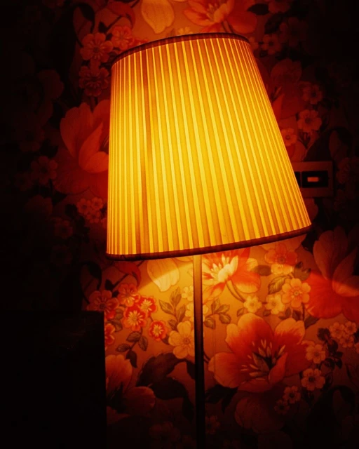 Illuminated floor lamp with a pleated shade casting a warm glow against a floral wallpaper backdrop, creating a cozy ambiance.