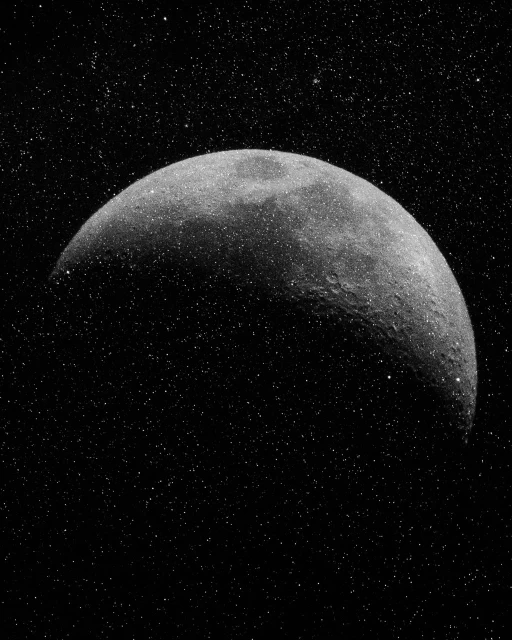 Marguerite Bornhauser