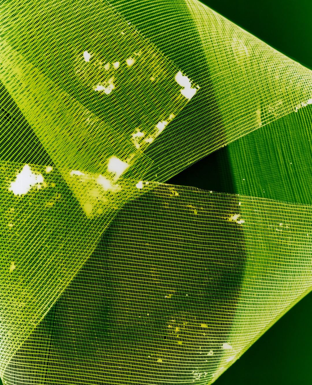 Abstract image showing folded green mesh material with a linear pattern and white spots against a dark green background in a studio setting.