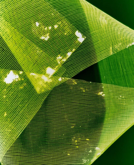 Abstract image showing folded green mesh material with a linear pattern and white spots against a dark green background in a studio setting.