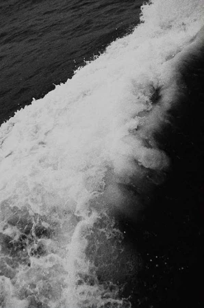 Black and white seascape features a powerful wave cresting and churning into foam. Ocean water is dark and textured.