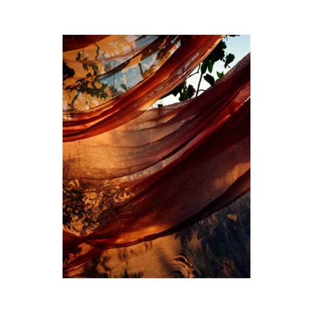 Abstract photograph featuring a flowing, semi-sheer fabric with warm, golden-brown tones contrasted against a backdrop of green foliage.