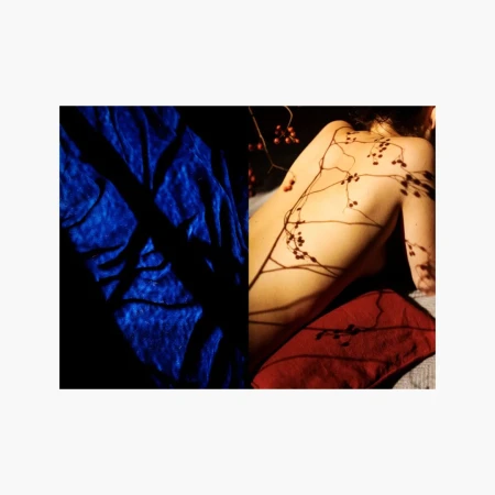 Back of a light-skinned adult woman, photographed with shadows from plant branches on the skin and red cushion, adjacent blue fabric.