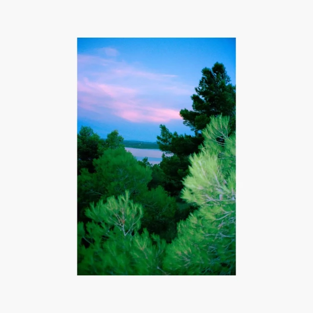 View of a tranquil lake surrounded by lush green trees under a vibrant blue and pink sky, capturing a serene natural landscape.
