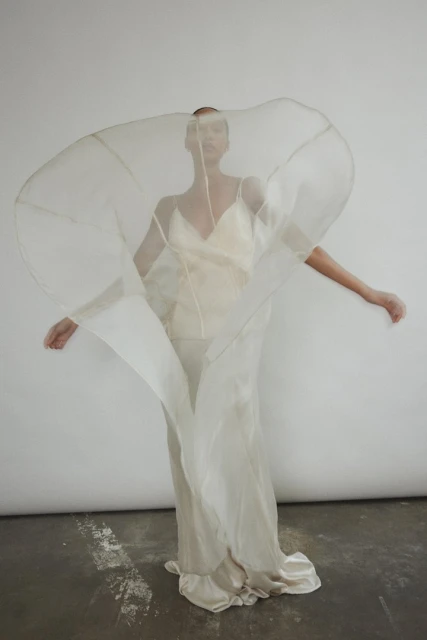 Elegant woman in a flowing gown and sheer veil strikes a pose against a neutral backdrop, creating a captivating fashion portrait.