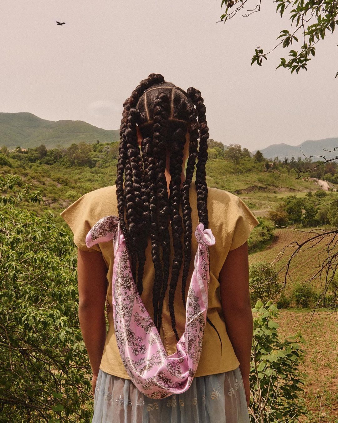 Back view of a woman with elaborate braided hair and a light-colored top, positioned in a rural landscape with mountains in the distance.