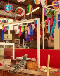 A grey pigeon perched on a wooden counter inside a market stall decorated with colorful hanging paper lanterns and festive decorations.