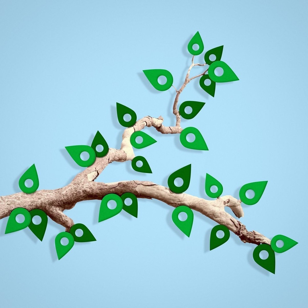 Stylized tree branch against a light blue background features green leaf-shaped location markers. Artificial and clean presentation.